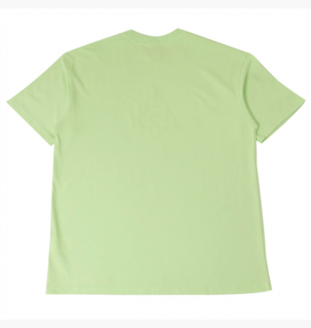 Футболка Nike Acg Dri-Fit Logo Tee Vapor Green