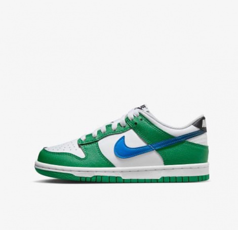 Кросівки Nike Dunk Low Gs