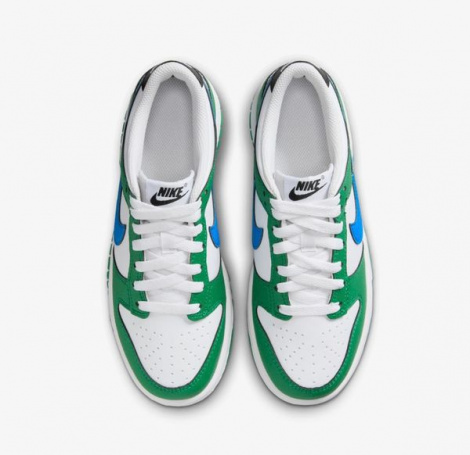 Кросівки Nike Dunk Low Gs