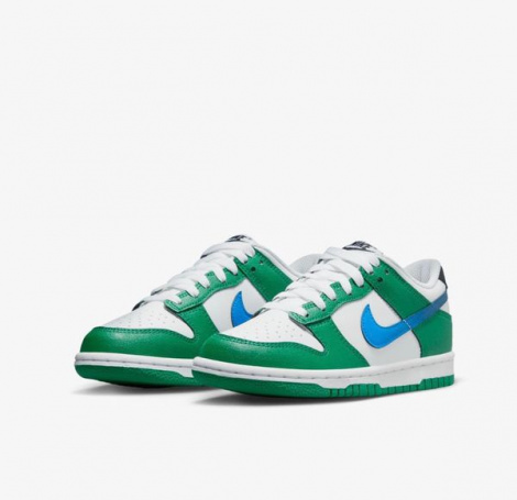 Кросівки Nike Dunk Low Gs