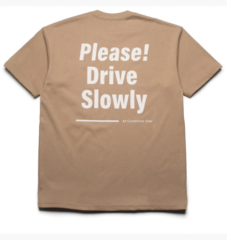 Футболка Nike Acg Oc Dog Sled T-Shirt Khaki