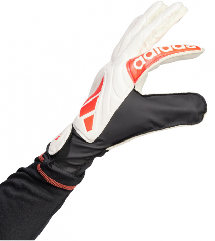 Перчатки вратарские Adidas Copa Gl Clb Белый, Черный, Красный Унисекс 10