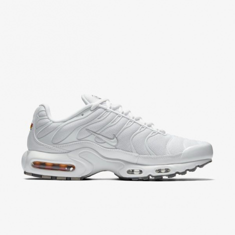 Кроссовки Nike Air Max Plus