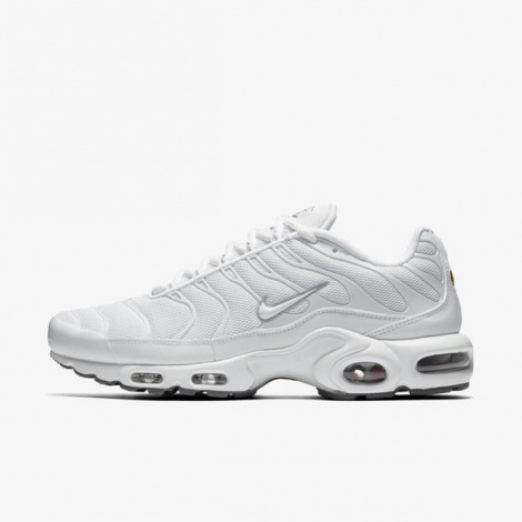 Кроссовки Nike Air Max Plus