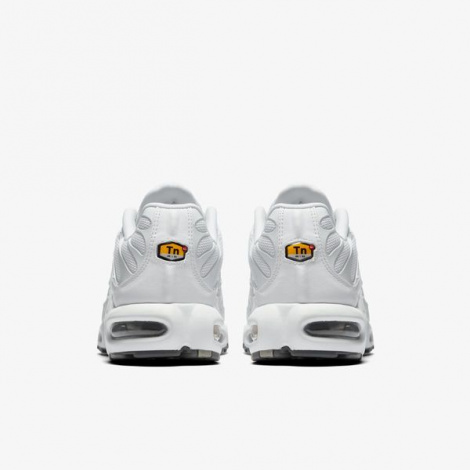Кроссовки Nike Air Max Plus