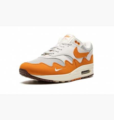 Кроссовки Nike Air Max 1 Patta Waves Monarch