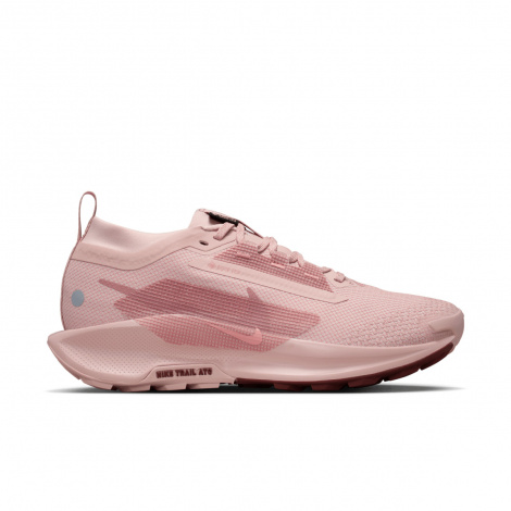 Кроссовки Nike W Pegasus Trail 5 Gtx
