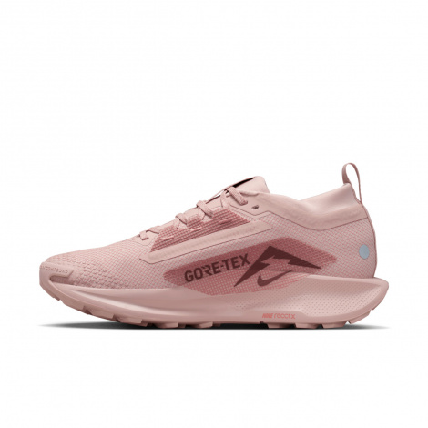 Кроссовки Nike W Pegasus Trail 5 Gtx