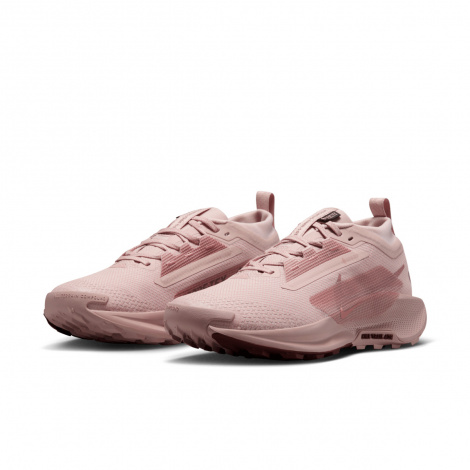 Кроссовки Nike W Pegasus Trail 5 Gtx