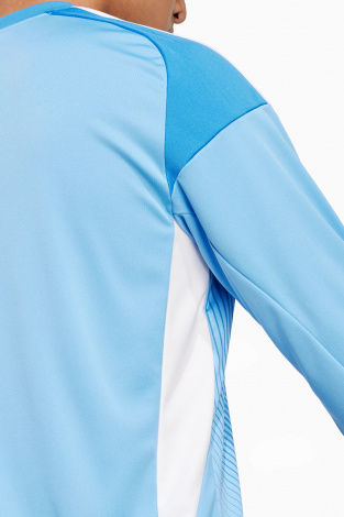 Воротарська кофта adidas Tiro 25 Competition GK - синій