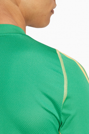 Воротарська кофта adidas Tiro 24 Pro GK - зелений