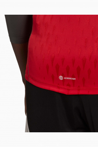 Воротарська кофта adidas Tiro 23 Pro GK - червоний