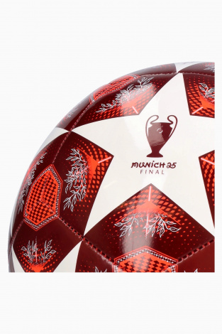 Футбольний м'яч adidas UCL Club 24/25