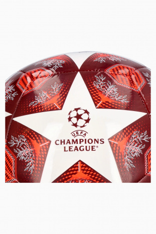 Футбольний м'яч adidas UCL Club 24/25