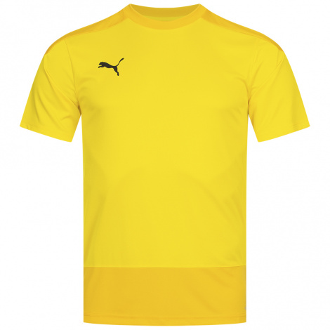 Футболка Puma Teamgoal Men'S Training Jersey
