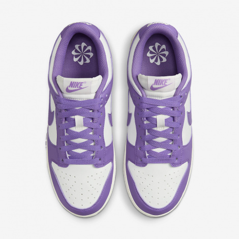 Кроссовки Женские Nike Dunk Low Next Nature (Dd1873-108)