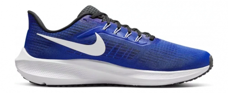 Кроссовки Nike Pegasus 39 (Синие)