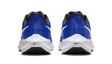 Кроссовки Nike Pegasus 39 (Синие)