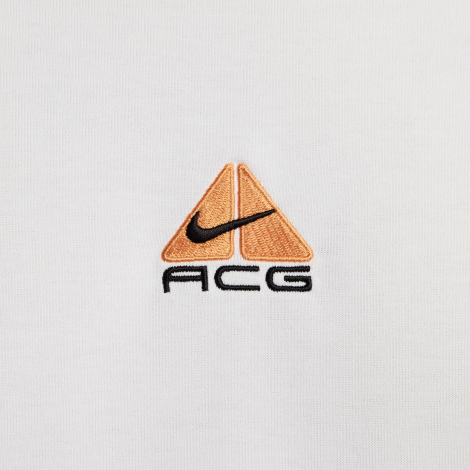 Футболка Nike Acg (Билла)