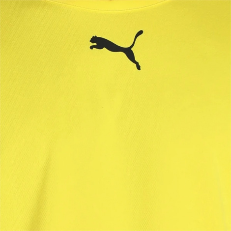 Футболка Puma TEAMRISE JERSEY желтая 704932-07