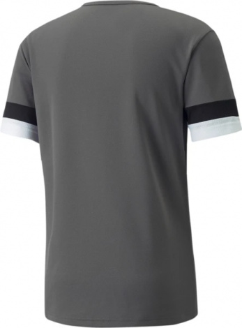 Футболка Puma TEAMRISE JERSEY серая 704932-13