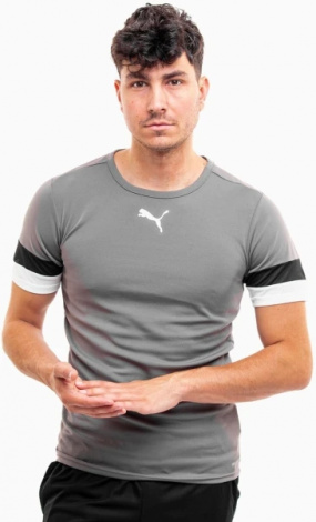 Футболка Puma TEAMRISE JERSEY серая 704932-13