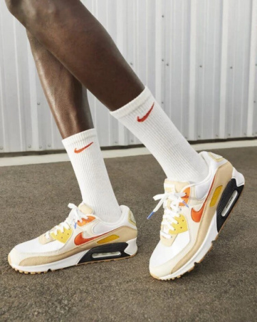 Кроссовки Nike AIR MAX 90 SE разноцветные FB4315-100