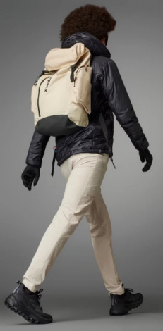 Кроссовки для хайкинга женские Adidas TERREX FREE HIKER 2.0 LOW GORE-TEX черные IE7657