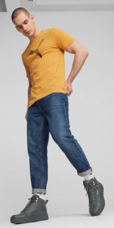 Черевики Puma TARRENZ SB III темно-сірі 39262803