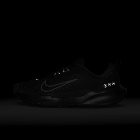 Кросівки для трейлраннінгу жіночі Nike WMNS JUNIPER TRAIL 2 GTX чорно-сірі FB2065-001