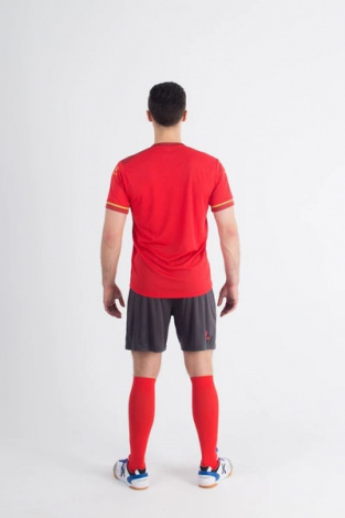 Комплект футбольної форми Kelme SEGOVIA червоно-темно-сірий 3871001.9667
