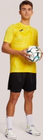Футболка Joma LION II жовта 103729.900