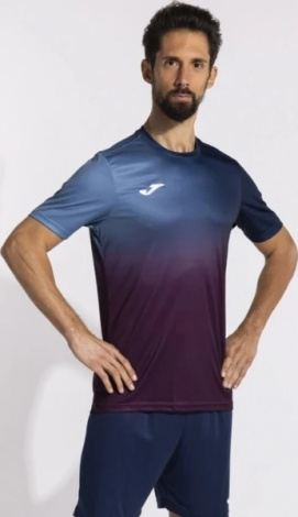 Футболка Joma PRO TEAM темно-синьо-фіолетова 103690.312