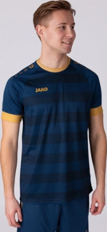 Футболка джерси Jako CELTIC MELANGE S/S темно-сине-золотая 4214-936