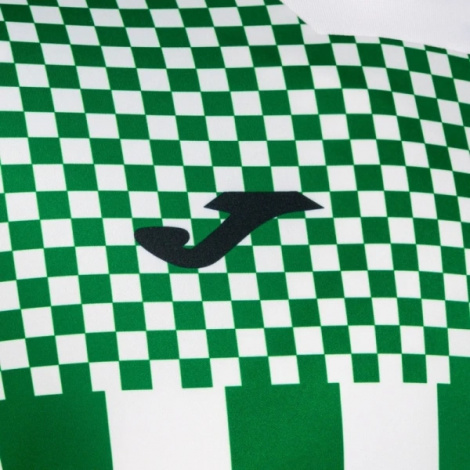 Футболка Joma FLAG III зелено-белая
