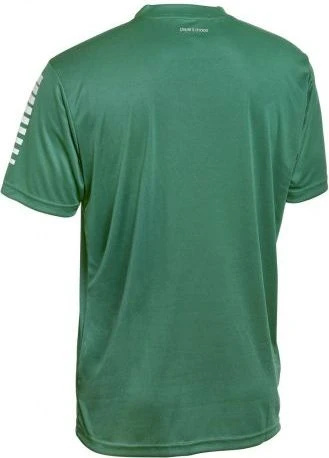 Футболка ігрова Select PISA PLAYER SHIRT зелена 624130-004