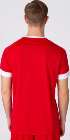 Игровая футболка джерси Celtic Melange S/S