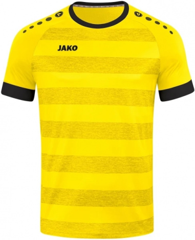 Игровая футболка джерси Celtic Melange S/S
