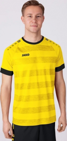 Игровая футболка джерси Celtic Melange S/S