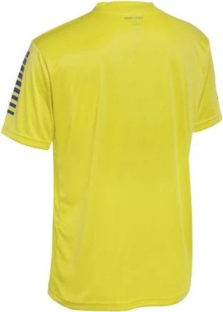Футболка Select Pisa player shirt s/s
