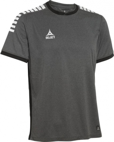 Футболка SELECT Monaco player shirt сіра 620000-002