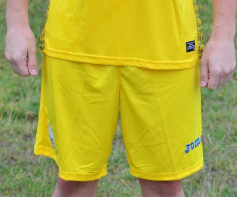 Шорти основні збірної України Joma FFU105011.18 жовті