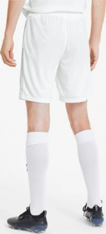 Шорты Puma Teamgoal 23 Knit Shorts Белый Мужской L