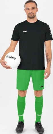 Шорты Jako MANCHESTER 2.0 C104 зеленые 4400-22