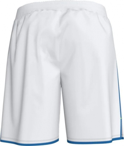Шорты Joma LIGA 101324.207