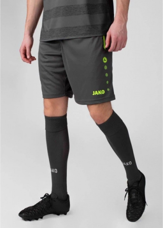 Шорти Jako ALLROUND сірі 4499-833