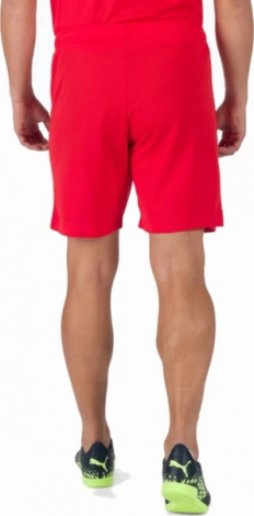 Шорты Puma Teamrise Short Красный Мужской L