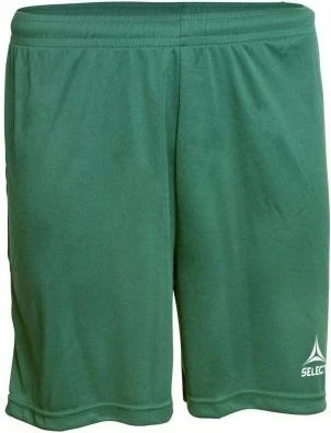 Шорты Select Pisa player shorts