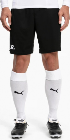 Гетри футбольні Puma TEAM LIGA SOCKS білі 703438-04