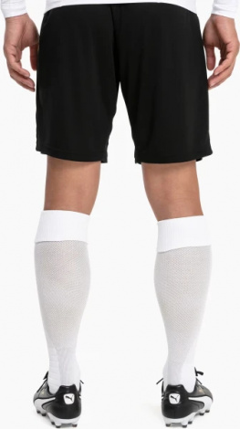 Гетри футбольні Puma TEAM LIGA SOCKS білі 703438-04